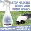 Soos Pets Skunk Odor Eliminator, 4-fl oz bottle