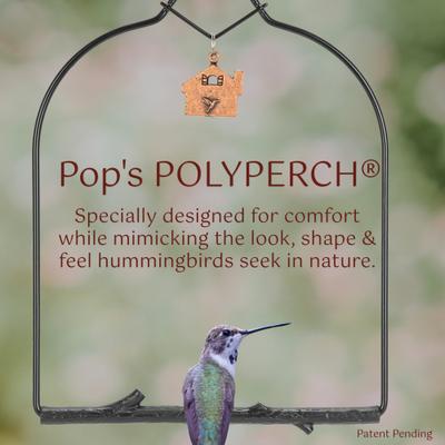 Show full view: Pop's Birding Charm Hummingbird Swing, Onyx slide 4 of 10