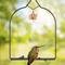 Show in main carousel: Pop's Birding Charm Hummingbird Swing, Onyx slide 2 of 10