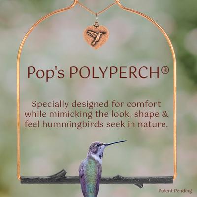Show full view: Pop's Birding Copper Hummingbird Swing, Rustic Black Perch slide 4 of 10