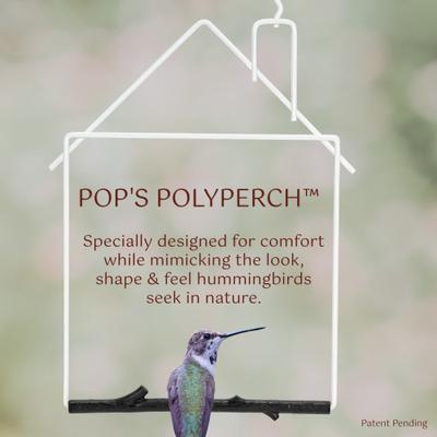 Show full view: Pop's Birding Craft Hummingbird Swing, White House slide 3 of 9