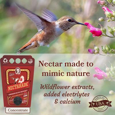 Show full view: Pop's Birding Nectarade Nectar Hummingbird Concentrate, 50.7-oz bottle slide 7 of 10
