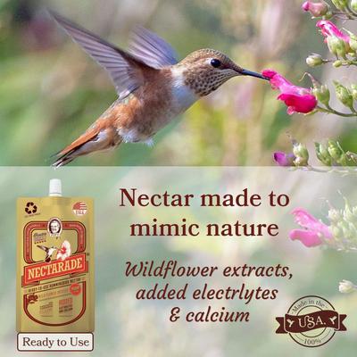 Show full view: Pop's Birding Nectarade Ready to Use Hummingbird Nectar, 8.5-oz bottle slide 3 of 10