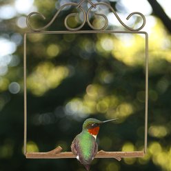 Pop's Birding Original Hummingbird Swing, Bronze slide 2 of 9