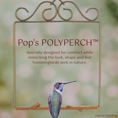 Show full view: Pop's Birding Original Hummingbird Swing, Bronze slide 4 of 10