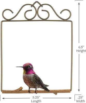 Show full view: Pop's Birding Original Hummingbird Swing, Bronze slide 6 of 10