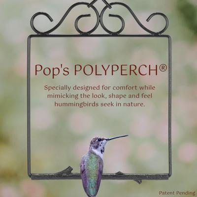 Show full view: Pop's Birding Original Hummingbird Swing, Onyx slide 4 of 10