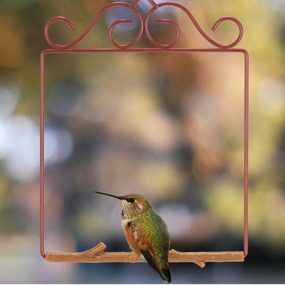 Show full view: Pop's Birding Original Hummingbird Swing, Redwood slide 2 of 10