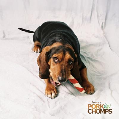 Show full view: Pork Chomps Assorted Flavors Twists Dog Treats, 24 count slide 7 of 12