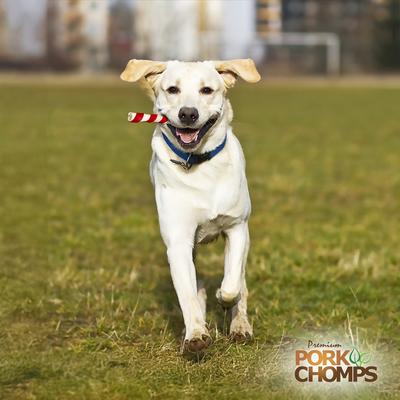 Show full view: Pork Chomps Bacon Flavor Twists Dog Treats, Large, 4 count slide 7 of 11