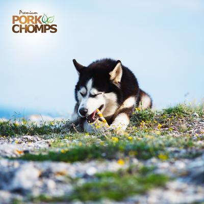 Show full view: Pork Chomps Real Chicken Wrapped Twists Dog Treats, Large, 4 count slide 7 of 10