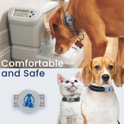 Show full view: PortionPro Rx Additional RFID Dog & Cat Collar Tag slide 4 of 5