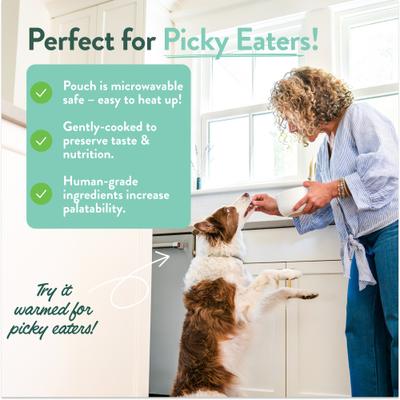 Show full view: Portland Pet Food Company Rosie's Beef N' Rice Homestyle Wet Dog Food Topper, 9-oz pouch, case of 4 slide 6 of 11