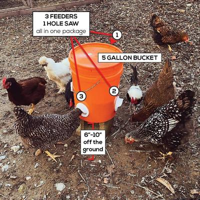 Show full view: Poultry Pro Feeder Poultry Feeding System slide 5 of 6