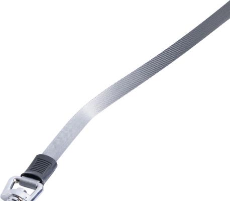 Show full view: Pounce + Fetch 10-ft Retractable Dog Leash, Grey, Small slide 8 of 9