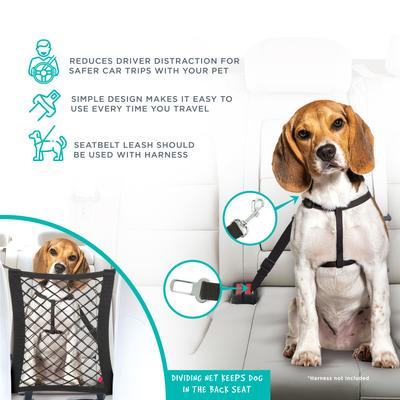 Show full view: Pounce + Fetch Adjustable Nylon Seatbelt Dog Leash, Black slide 1 of 4