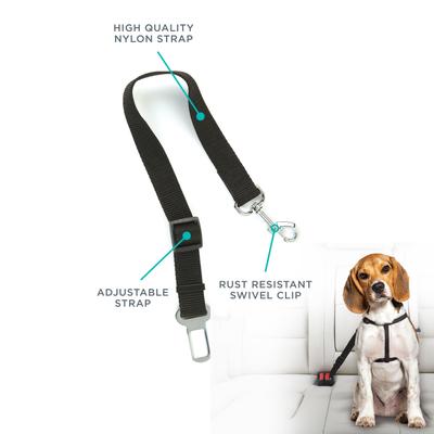Show full view: Pounce + Fetch Adjustable Nylon Seatbelt Dog Leash, Black slide 2 of 4