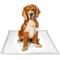 Show in main carousel: Pounce + Fetch Extra Large Ultra Absorbing Dog Training Pads, 50 count slide 5 of 7