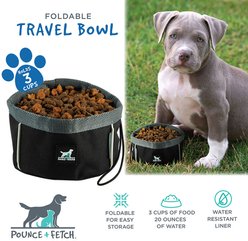 Pounce + Fetch Foldable Travel Dog & Cat Bowl, 3-cup slide 2 of 7