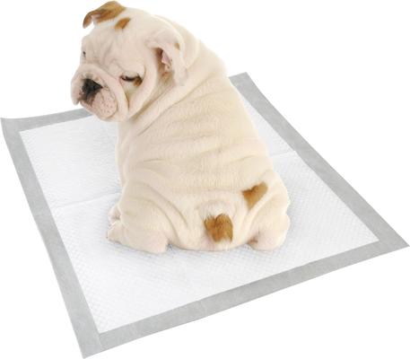 Show full view: Pounce + Fetch Ultra Absorbent Dog Training Pads, 50 count slide 4 of 7