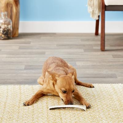 Show full view: Prairie Dog Split Chicken Flavor Antler Dog Chew, 4.5 - 6 inch slide 6 of 10