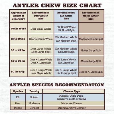 Show full view: Prairie Dog Split Chicken Flavor Antler Dog Chew, 7 - 8 inch slide 8 of 12