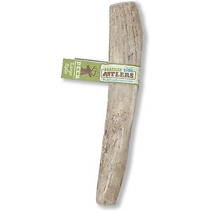 Prairie Dog Split Deer Antler Dog Chew, 6 - 7.5 inch