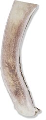 Prairie Dog Split Deer Antler Dog Chew, 7.5 - 8.5 inch slide 2 of 9