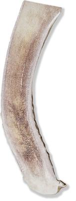 Show full view: Prairie Dog Split Deer Antler Dog Chew, 7.5 - 8.5 inch slide 3 of 11