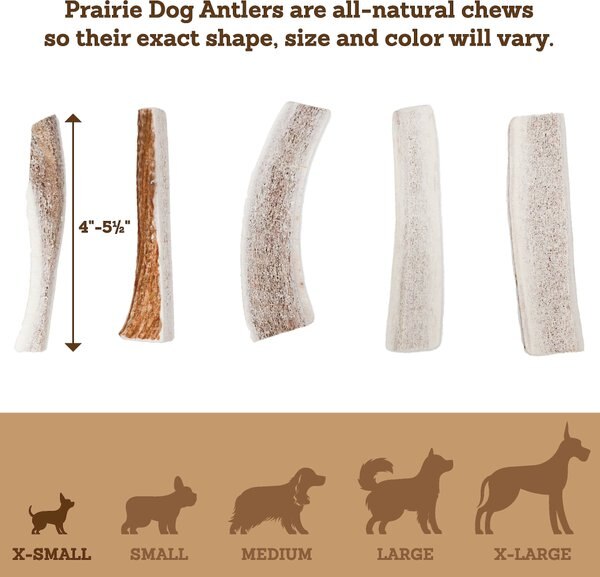 Prairie Dog Split Elk Antler Dog Chews, 4 - 5.5 in