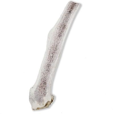 Show full view: Prairie Dog Split Elk Antler Dog Chews, 8 - 9.5 inch slide 3 of 12