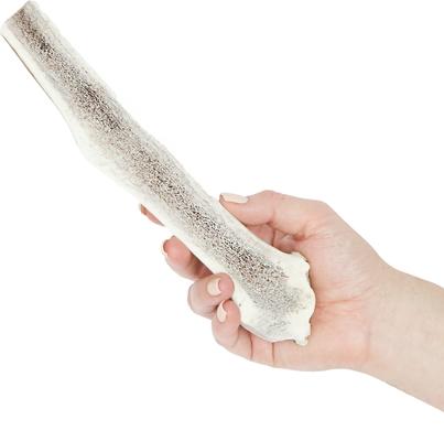 Show full view: Prairie Dog Split Elk Antler Dog Chews, 8 - 9.5 inch slide 4 of 12