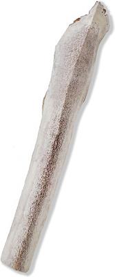 Show full view: Prairie Dog Split Elk Antler Dog Chews, 9.5 - 10.5 inch slide 3 of 11