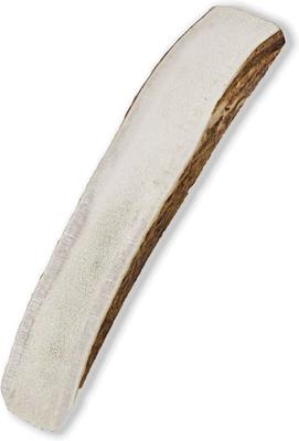 Show full view: Prairie Dog Split Moose Antler Dog Chews, 6 - 7.5 inch slide 3 of 11