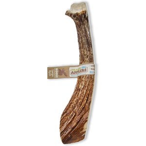 Prairie Dog Split Moose Antler Dog Chews, 8 - 9.5 inch