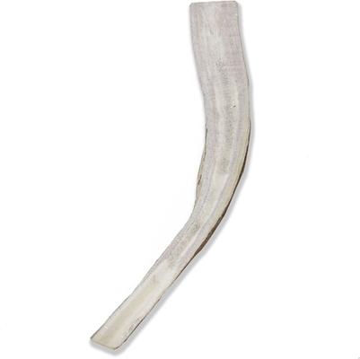 Show full view: Prairie Dog Split Moose Antler Dog Chews, 9.5 - 10.5 inch slide 3 of 12