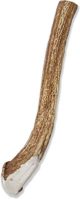 Show full view: Prairie Dog Whole Deer Antler Dog Chews, 10.5 - 11.5 in slide 3 of 12