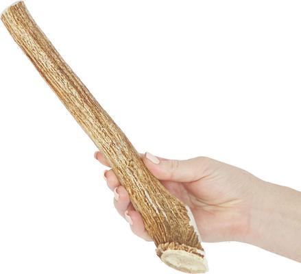 Show full view: Prairie Dog Whole Deer Antler Dog Chews, 10.5 - 11.5 in slide 4 of 12