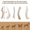 Show in main carousel: Prairie Dog Whole Deer Antler Dog Chews, 4 - 5.5 in slide 6 of 12