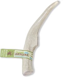 Prairie Dog Whole Deer Antler Dog Chews, 6 - 7.5 in