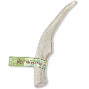 Prairie Dog Whole Deer Antler Dog Chews, 6 - 7.5 in