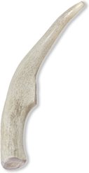 Prairie Dog Whole Deer Antler Dog Chews, 6 - 7.5 in slide 2 of 9