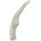 Show in main carousel: Prairie Dog Whole Deer Antler Dog Chews, 6 - 7.5 in slide 3 of 12
