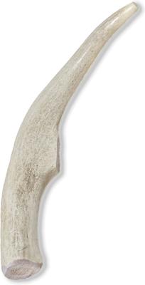 Show full view: Prairie Dog Whole Deer Antler Dog Chews, 6 - 7.5 in slide 3 of 12