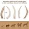 Show in main carousel: Prairie Dog Whole Deer Antler Dog Chews, 6 - 7.5 in slide 6 of 12