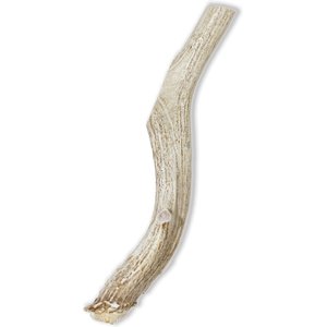 Prairie Dog Whole Deer Antler Dog Chews, 8 - 9.5 in