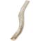 Show in main carousel: Prairie Dog Whole Deer Antler Dog Chews, 8 - 9.5 in slide 3 of 12