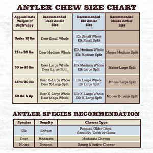 Prairie Dog Whole Deer Antler Dog Chews, 8 - 9.5 in