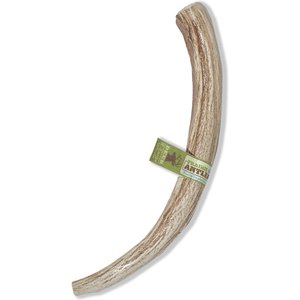 Prairie Dog Whole Deer Antler Dog Chews, 9 - 10.5 in