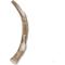Show in main carousel: Prairie Dog Whole Deer Antler Dog Chews, 9 - 10.5 in slide 3 of 12